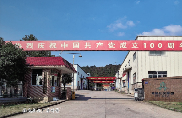 杜氏木业厂房外景 杜氏木业厂房外景