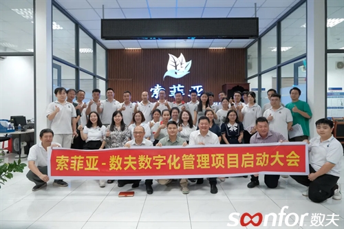 越南索菲亚-富联娱乐数字化项目正式启动！