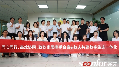 致欧家居携手合泰家居、富联娱乐软件共建数字生态一体化！